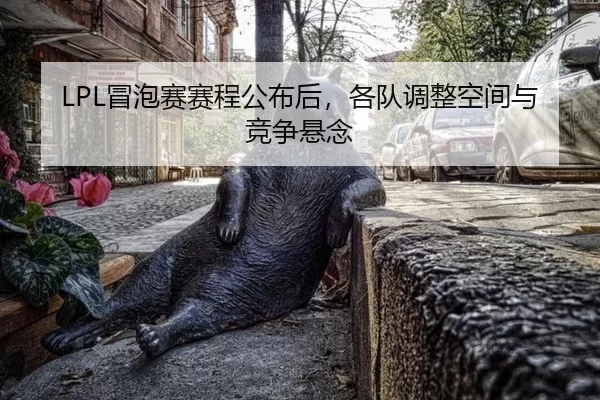 mao-pao-sai-sai-cheng-gong-bu-hou-ge-dui-tiao-zheng-kong-jian-yu-jing-zheng-xuan-nian-2-417.jpg